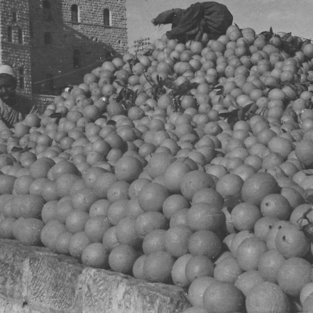 Oranges For Sale - Jerusalem